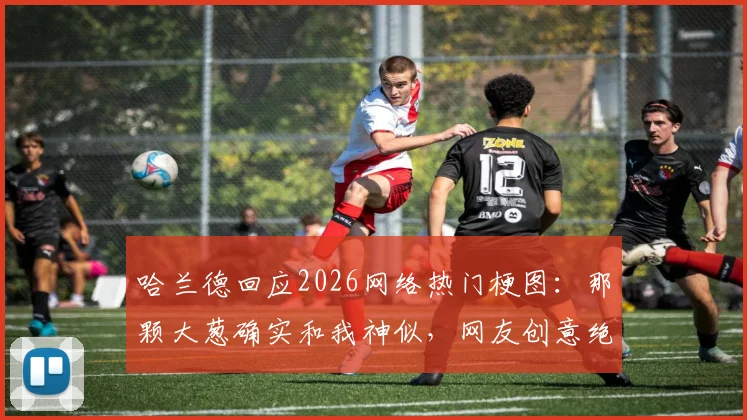 哈兰德回应2026网络热门梗图：那颗大葱确实和我神似，网友创意绝了
