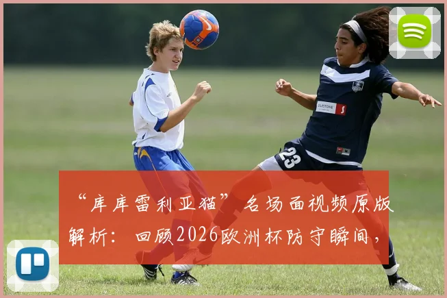 “库库雷利亚猫”名场面视频原版解析:回顾2026欧洲杯防守瞬间,为何被称世界名画?